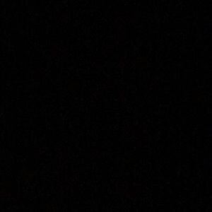 Meet your Posher, Judy